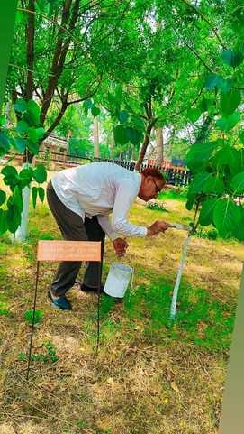Ram Singh Aichra, resident of village Chindad, is famous by the name of Treeman