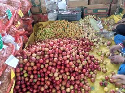 Prices of plum and apricot fell as the arrival of fruits increased