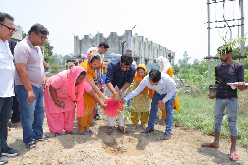 One tree in the name of mother campaign dedicated to mother's honor: Badoli