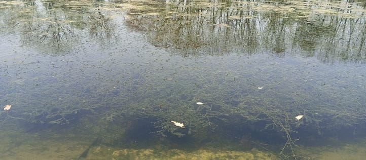 Water left in water tanks for four-five days, canal will take 10 days to arrive