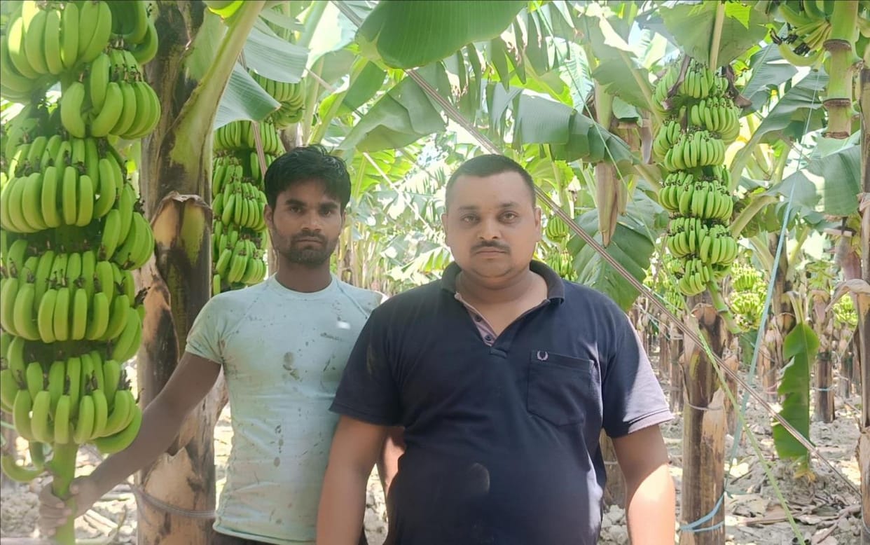 Left thousands of jobs, earning lakhs from banana farming