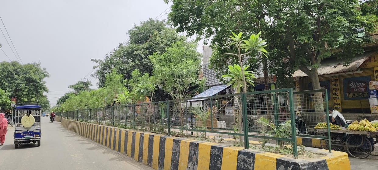firozabad news smart city greenry