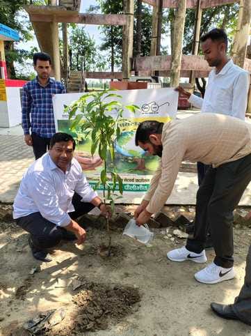 Decorated the earth by planting saplings, took a pledge to protect it