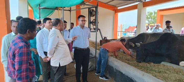 firozabad news kanha gaushala inspection