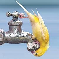 People of Indiranagar threatened the water institute and met EE