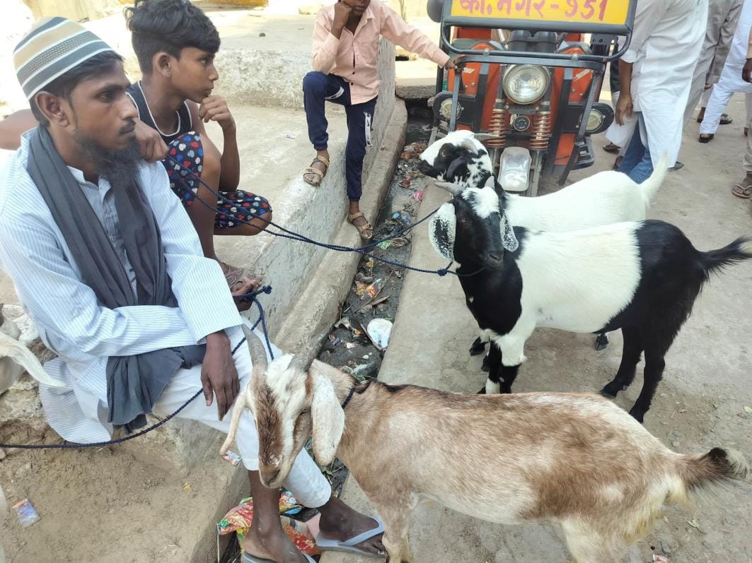 Goat sold for sacrifice for up to 35 thousand rupees