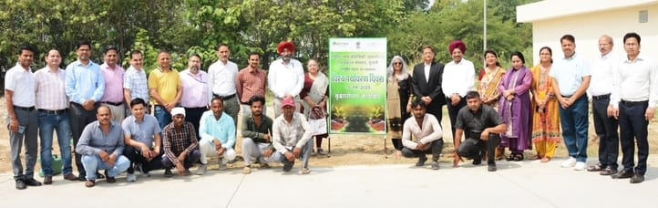The members of the Graduate Studies Board started the program with tree plantation