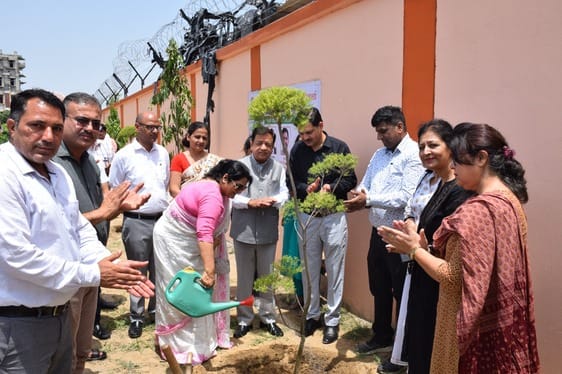 Take care of the planted saplings: Vice Chancellor