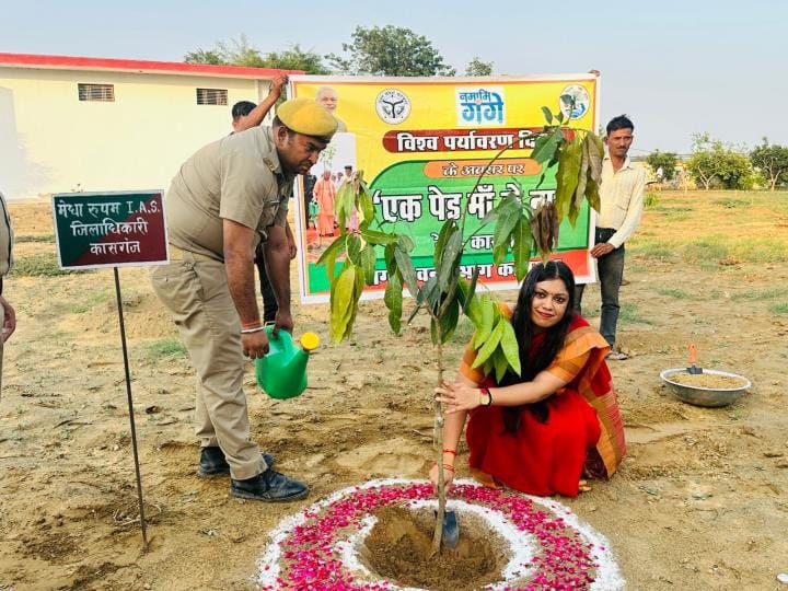 Plant a tree in your mother's name