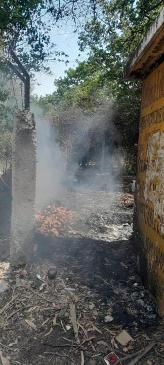 TTZ rules are being flouted, how can pollution be controlled