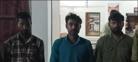 Three smugglers arrested, nine cattle freed
