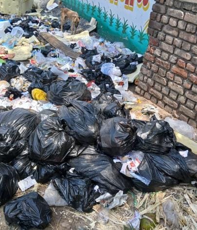 Bio-medical waste is being thrown in the open, risk of infection