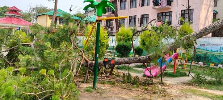 A tree fell on the swings in Maharana Pratap Park, gym equipment also got damaged