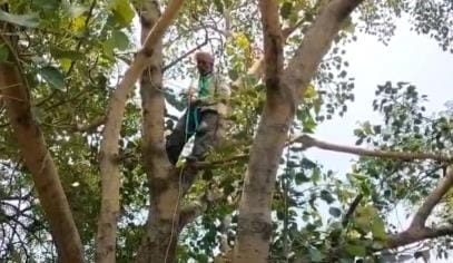 The villager climbed a tree to commit suicide