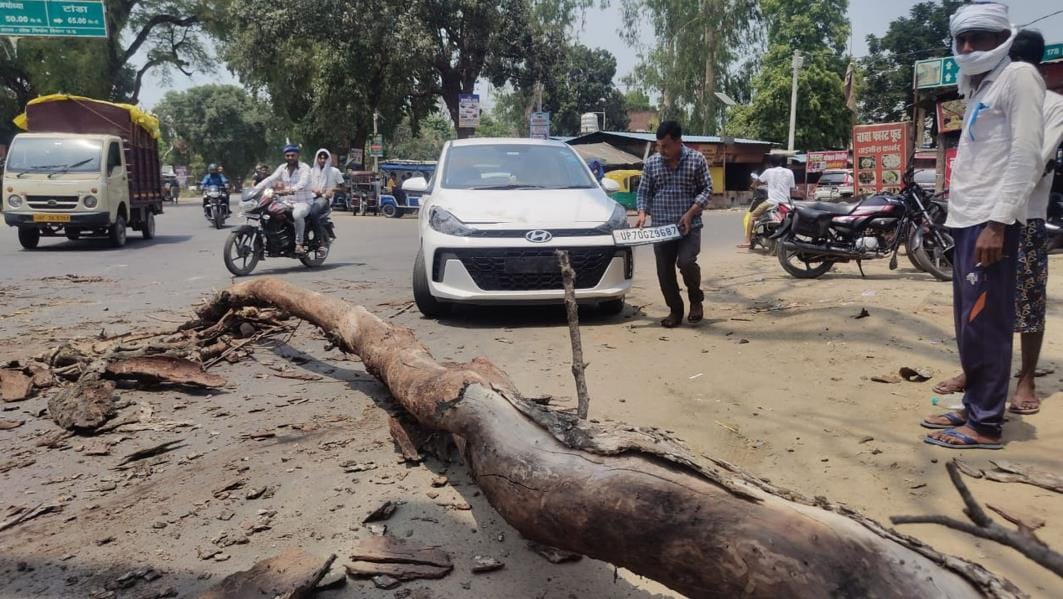 car damaged by falling tree trunkcar damaged by falling tree trunk