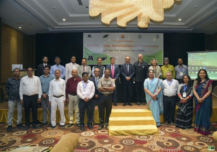 Forest, police and judiciary unite for strong enforcement