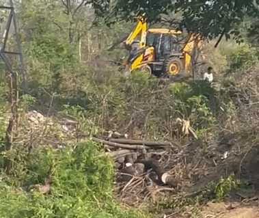 Una News: भट्ठियां वाला में धरती की कोख सूनी कर सैकड़ों पेड़ काट डाले In Bhathiyaanwala, hundreds of trees were cut down leaving the womb of the earth barren