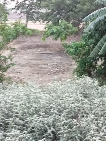In the scorching heat, the ponds have dried up and animals and birds are suffering from thirst