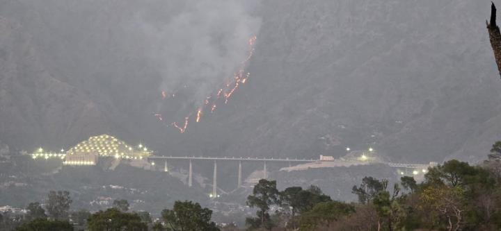 Fire in Forest