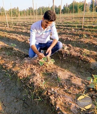 Youth preferring to do their own business instead of a private job