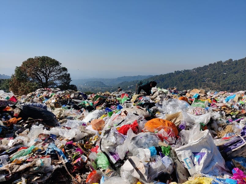 Flowers will bloom in place of garbage, the dumping site will become expensive due to their fragrance