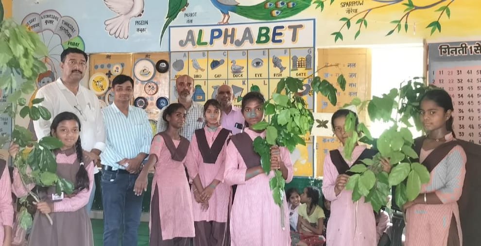 Basic and Secondary Education will plant 23.43 lakh saplings in UP priority given to fruit-bearing trees