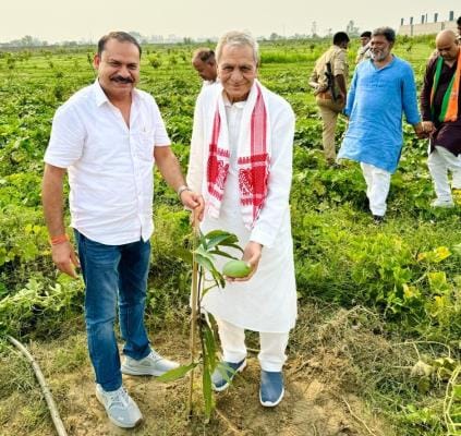 The minister was surprised to see mangoes growing on a one and a half feet plant