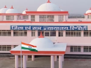 Benefit of merger through fake documents