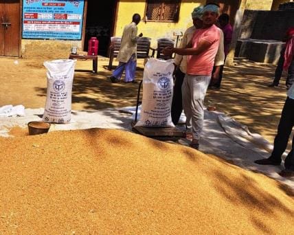 So far 21 percent of wheat has been procured