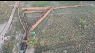 विचरण करते चीतल 