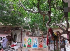 The sweet sounds of the flute will resonate again in the shade of Vanshivat tree