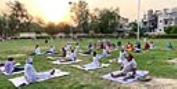 Make the seekers do Tadasana, Vrikshasana, Ardha Chakrasana