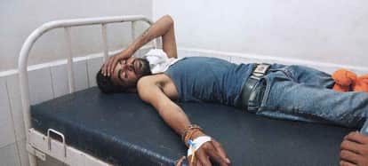 Three people were bitten by a snake but their lives were saved due to timely treatment