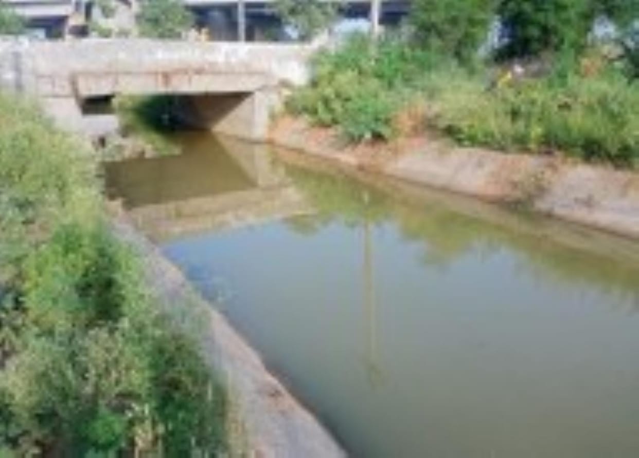 900 qusek water reached in canals