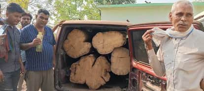 Damoh News: Forest department surrounded and caught smuggling of teak wood