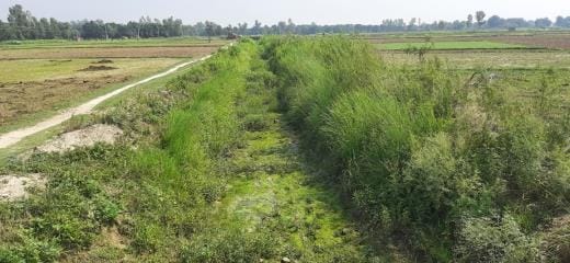 Dry canals are dashing the hopes of farmers