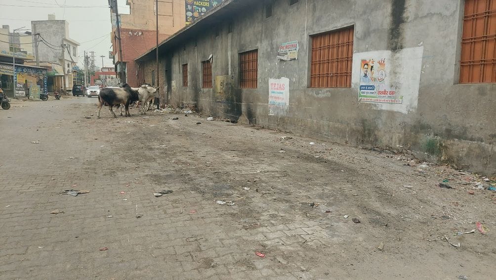 The garbage heap on LIC Road was removed by the Nagar Palika