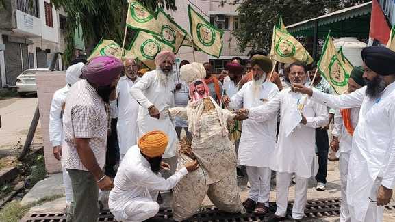 Farmers got angry over sunflower weighing, burnt effigy