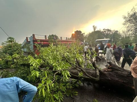 Storm wreaked havoc in Gagret, trees fell, two electric poles broke