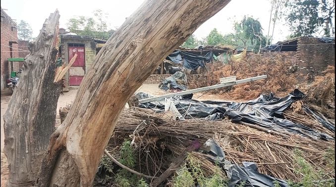 Tree and electric pole fell on the house, demand for compensation