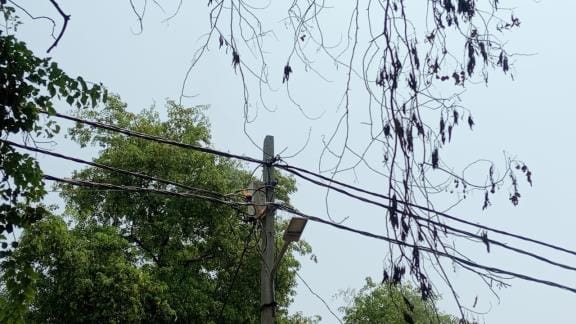 Two transformers blew up, 250 houses lost power