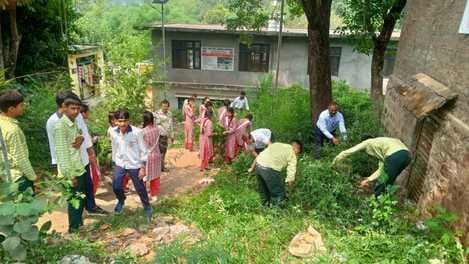 Bhukkad school students uprooted cannabis plants