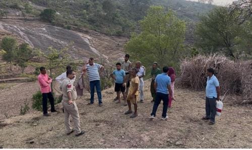 Desi gun powder exploded under suspicious circumstances, cow injured