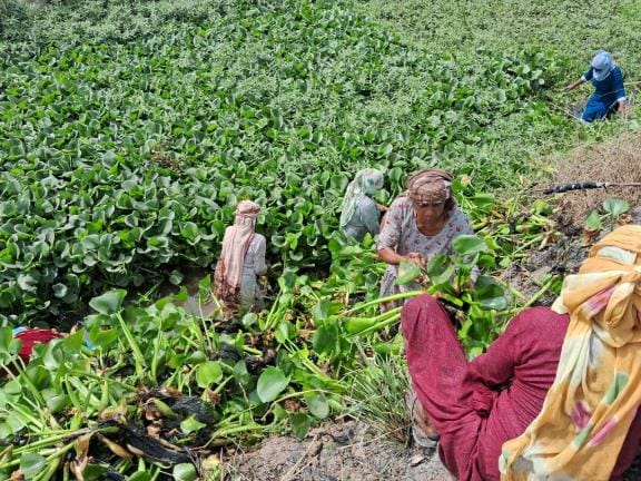 Preparations to deal with floods are complete: Administration, farmer leaders said- claims are hollow