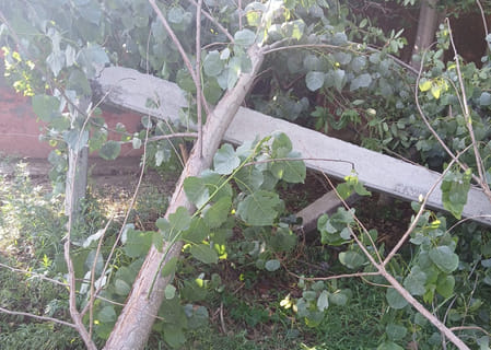 Due to rain and strong winds, electricity wires broke, electricity supply in villages remained disrupted for 10 hours