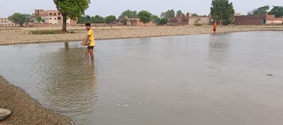 After the rain, farmers are busy preparing paddy nursery