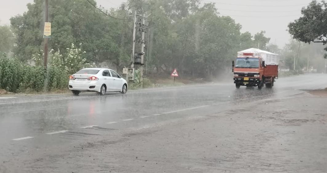 Weather changed due to rain, woman died due to falling of tree branch