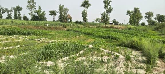 District administration will revive old Ganga