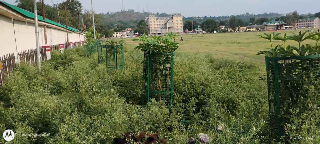 Sujanpur's Chaugan will be free from Congress grass, campaign will start from Friday