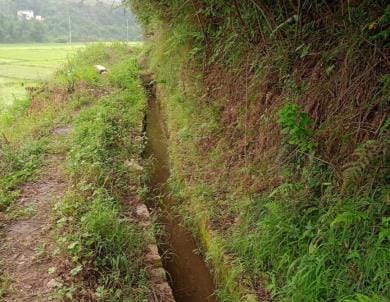 Irrigation department released water in the canals of Katyur valley